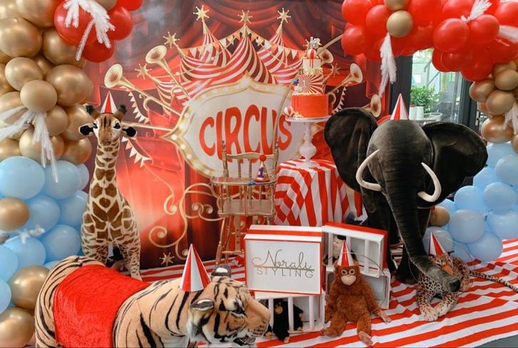 Circus Setting - Verjaardag - Decoratie - Kinderfeestje, Hobby en Vrije tijd, Feestartikelen | Verhuur, Zo goed als nieuw, Verjaardag