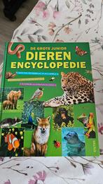 De Grote Junior Dieren Encyclopedie - Zo Goed Als Nieuw!, Boeken, Encyclopedieën, Hans Peter Thiel, Ophalen of Verzenden, Zo goed als nieuw