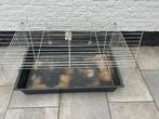 caviakooi, Dieren en Toebehoren, Kooi, Gebruikt, Hamster, 75 tot 110 cm