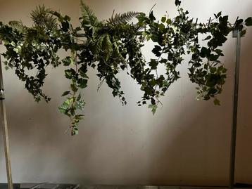 Groene Decoratie-takken. Diverse soorten. beschikbaar voor biedingen