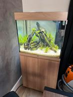 Juwel lido 120 conpleet zonder hout, Dieren en Toebehoren, Vissen | Aquaria en Toebehoren, Ophalen of Verzenden, Leeg aquarium