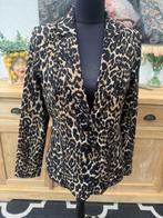 Nieuw colbert &Co Woman - andcowoman, Maat 38/40 (M), Verzenden, &Co Woman, Nieuw