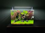Dennerle Nano Tank Plant Pro, Dieren en Toebehoren, Ophalen, Zo goed als nieuw, Leeg aquarium