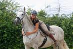 Vakantie oppas Paarden, Dieren en Toebehoren, Ophalen, Nieuw