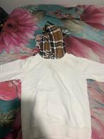 Burberry hoodie, Kleding | Heren, Truien en Vesten, Wit, Ophalen of Verzenden, Gedragen, Burberry