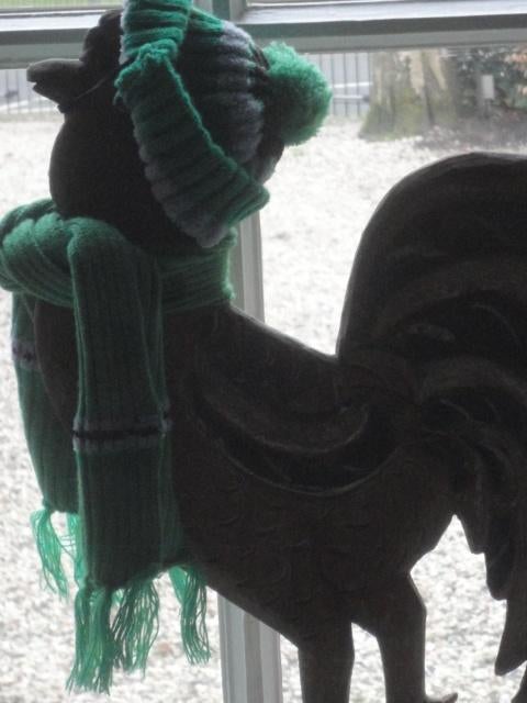 SJAAL + matching MUTS voor de HOND, Ophalen of Verzenden, Nieuw, Hondensjaal