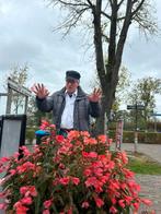Massage, Diensten en Vakmensen, Welzijn | Masseurs en Massagesalons, Ontspanningsmassage