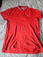 Tommy hilfiger polo L, Maat 52/54 (L), Tommy Hilfiger, Ophalen of Verzenden, Zo goed als nieuw