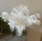 Decoratie veren struisvogelveren, Ophalen of Verzenden, Zo goed als nieuw