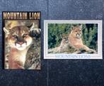 Ansichtkaarten Mountain Lions Sierra Nevada Californië poema, Verzamelen, Ansichtkaarten | Dieren, Ophalen of Verzenden, 1980 tot heden