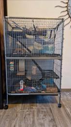 Ratten / frettenkooi 80 cm x 52 cm x 128 cm, Dieren en Toebehoren, Ophalen of Verzenden, Zo goed als nieuw, 75 tot 110 cm, Kooi