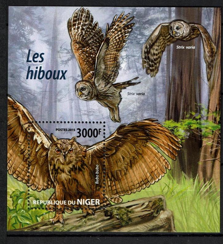 niger 2015 pf blok uilen owls vogels birds of prey, Postzegels en Munten, Postzegels | Thematische zegels, Postfris, Dier of Natuur