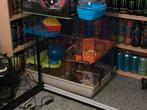 Grote hamster kooi, Ophalen, Zo goed als nieuw, Terrarium of Paludarium