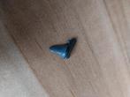 Te koop fossiele haaientand 1,5 centimeter, Ophalen of Verzenden, Fossiel