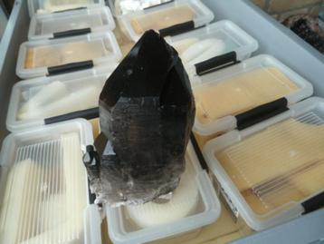 Rookkwarts (01) beschikbaar voor biedingen