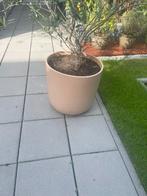 Mooie grote bloempot intratuin, Tuin en Terras, Bloempotten, Ophalen of Verzenden