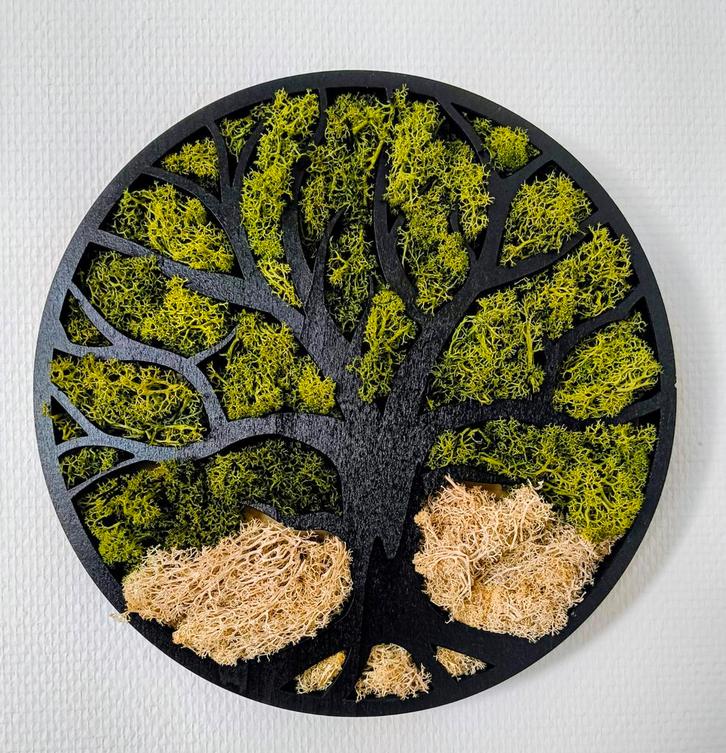 Mos Schilderij - Boom des Levens - 30cm, Huis en Inrichting, Woonaccessoires | Schilderijen, Tekeningen en Foto's, Ophalen of Verzenden