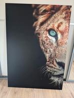 Schilderij Lion - Matt Dibond 70x100, Huis en Inrichting, Woonaccessoires | Schilderijen, Tekeningen en Foto's, Ophalen, Zo goed als nieuw