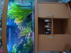 Juwel Aquarium 240, Dieren en Toebehoren, Vissen | Aquaria en Toebehoren, Ophalen, Zo goed als nieuw, Gevuld zoetwateraquarium
