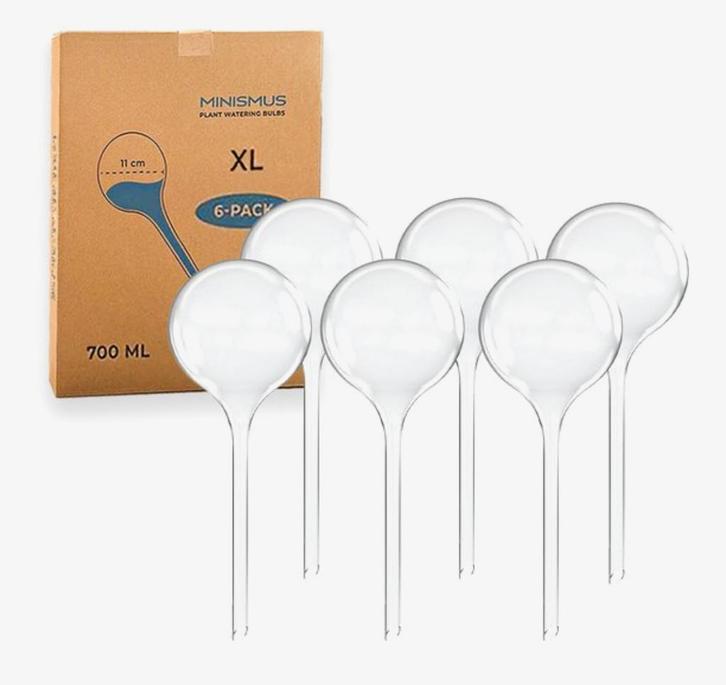 Waterdruppelaars planten - 6 stuks nieuw in doos, Huis en Inrichting, Kamerplanten, Ophalen of Verzenden