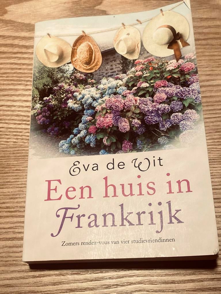 Een huis in Frankrijk - Eva de Wit, Ophalen of Verzenden, Gelezen, Nederland