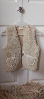 wollen bodywarmer DT Collection100%wol 2-4, Jongen of Meisje, Dt collection, Ophalen of Verzenden, Zo goed als nieuw