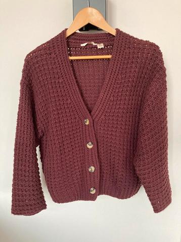 NIEUW! Bordeauxrood vest maat xl beschikbaar voor biedingen