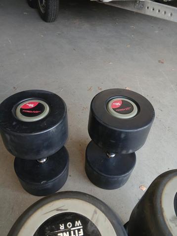 Life Fitness Dumbells 2x50kg beschikbaar voor biedingen