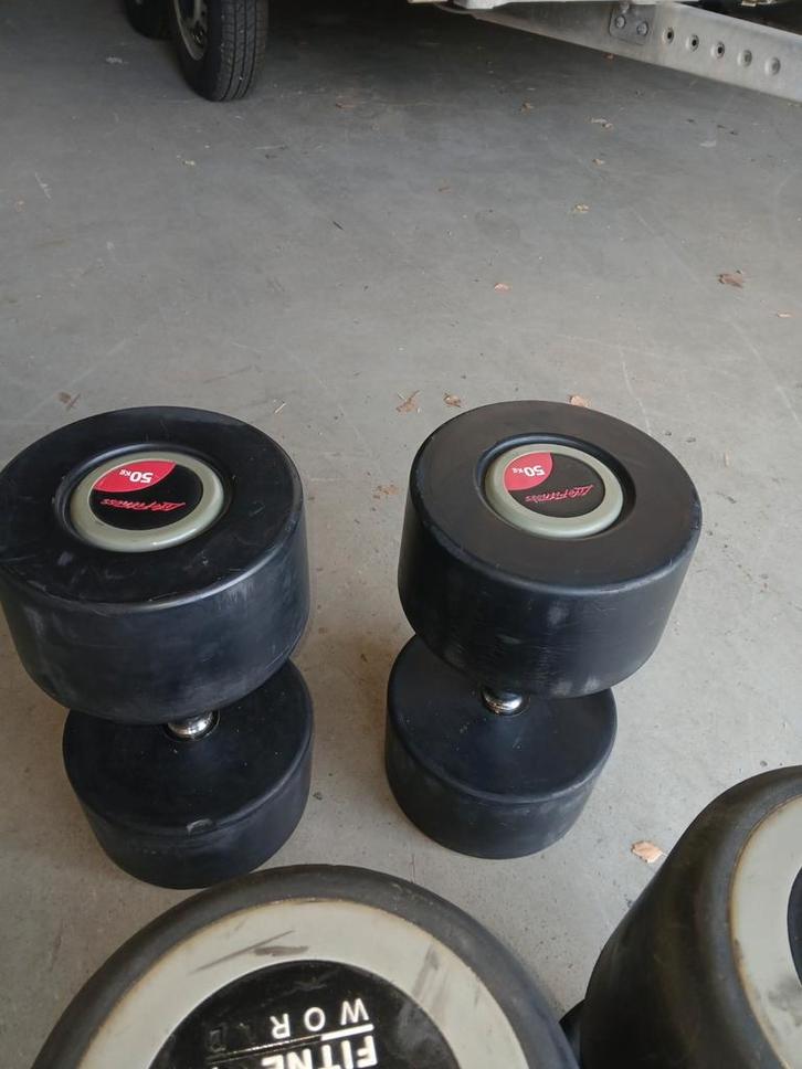 Life Fitness Dumbells 2x50kg, Sport en Fitness, Fitnessmaterialen, Gebruikt, Overige typen, Armen, Borst, Rug, Ophalen