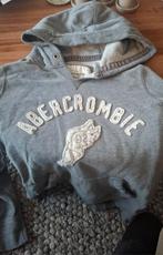 Abercrombie & Fitch Hoodie Maat M, Maat 48/50 (M), Ophalen of Verzenden, Zo goed als nieuw, Abercrombie & Fitch