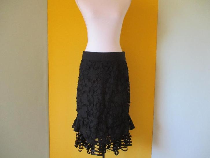 Didi rok maat XS., Kleding | Dames, Rokken, Zo goed als nieuw, Maat 34 (XS) of kleiner, Zwart, Onder de knie, Ophalen of Verzenden