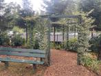 Unieke plek in het bos van Vierhouten camping Samoza chalet, 4 of meer slaapkamers, In bos, Recreatiepark, Gelderland en Veluwe