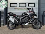 MORBIDELLI T1002VX T 1002 VX (bj 2025), Bedrijf, Overig, Overige