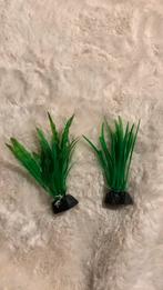 Nep plantjes voor aquarium, Dieren en Toebehoren, Vissen | Aquaria en Toebehoren, Ophalen, Gebruikt, Plant(en), Steen of Hout