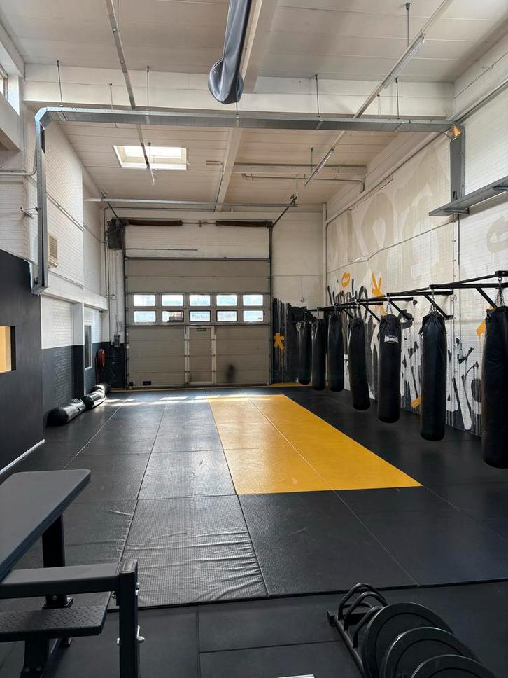 Rig - Bokszak & Optrekstang - Professioneel, Sport en Fitness, Fitnessmaterialen, Zo goed als nieuw, Oprekstang, Armen, Ophalen