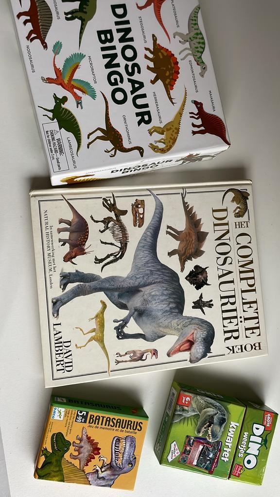 Dino Spellen en Boek Pakket - Sinterklaas Tip!, Kinderen en Baby's, Speelgoed | Buiten | Speeltoestellen, Zo goed als nieuw, Overige typen