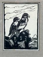 Ed Jeska :oude houtsnede van jonge Arenden, Ophalen of Verzenden