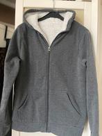 Hoody teddy gevoerd, Ophalen of Verzenden, Zo goed als nieuw, Maat 52/54 (L), Grijs