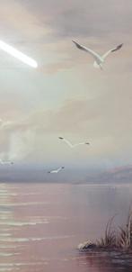 prent met meeuwen, Ophalen of Verzenden, 'T Olde Gre-j, Info@toldegrej.nl, Endepoelstraat 20f Didam