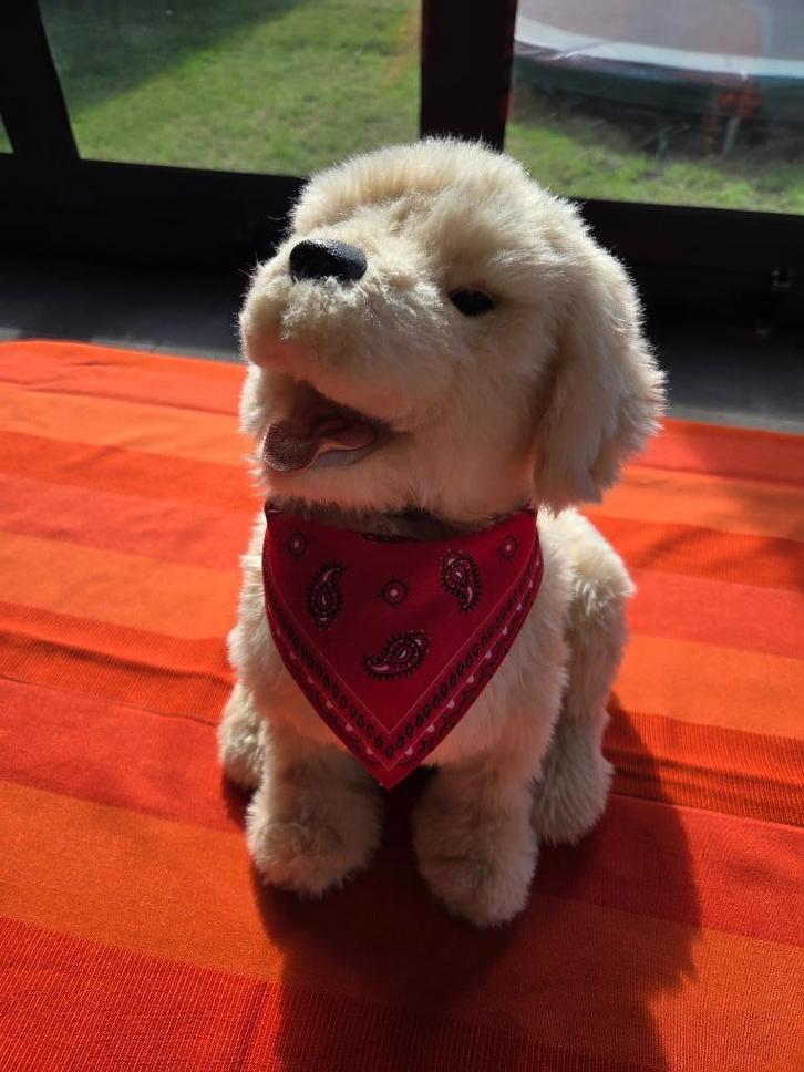 Interactieve Hond Goldy voor o.a. mensen met dementie, Hobby en Vrije tijd, Overige Hobby en Vrije tijd, Zo goed als nieuw, Ophalen