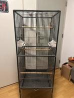 Grote kooi, volière voor papegaaien, vogels, Dieren en Toebehoren, Vogels | Hokken en Kooien, Ophalen of Verzenden, Gebruikt, Metaal