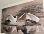 Landende Zwaan MondiArt Print 180 breed, Ophalen, Oorspronkelijke maker, 125 cm of meer, 75 cm of meer