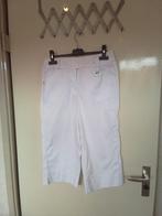 47 Uniform broek voor in de zorg kuitmodel maat 36 haen, Kleding | Dames, Ophalen of Verzenden, Zo goed als nieuw, Maat 36 (S)