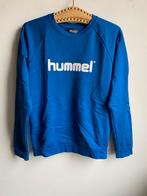 Blauwe Hummel Trui Maat 176, Kinderen en Baby's, Kinderkleding | Maat 176, Jongen of Meisje, Trui of Vest, Ophalen of Verzenden
