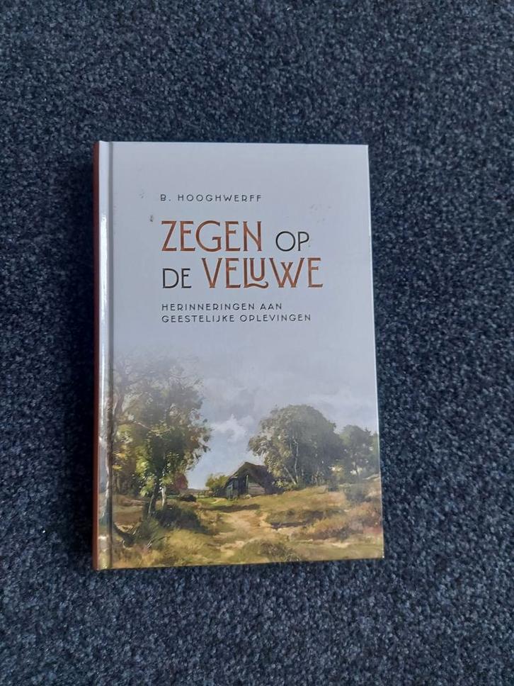 Zegen op de Veluwe - B. Hooghwerff, Boeken, Streekboeken en Streekromans, Zo goed als nieuw, Gelderland, Ophalen of Verzenden