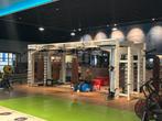 Wegens verbouwing te koop Queenax compleet, Sport en Fitness, Fitnessapparatuur, Ophalen, Gebruikt, Metaal