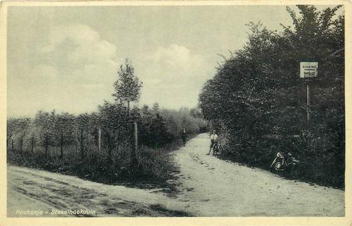(304-011-003) Rockanje Stekelhoekduin, Verzamelen, Ansichtkaarten | Nederland, Zuid-Holland, Verzenden