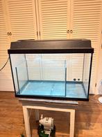 Aquarium, Dieren en Toebehoren, Vissen | Aquaria en Toebehoren, Ophalen, Gebruikt, Leeg aquarium