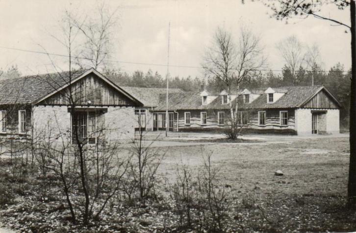 144 Hattem Johaniter Kamp in Marijkehoeve 1960, Verzamelen, Ansichtkaarten | Nederland, Ongelopen, Gelderland, 1940 tot 1960, Ophalen of Verzenden