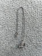 Ketting met Hoorn Hanger - Zilverkleur - Pickboy, Muziek en Instrumenten, Instrumenten | Toebehoren, -, -, Nieuw, Pickboy